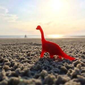 Meet your Posher, Katy